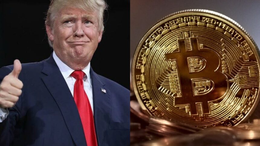 la-envidia-de-manuel-adorni:-donald-trump-gano-u$s1.400-millones-con-criptomonedas