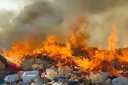 proponen-crear-un-sistema-anonimo-para-denunciar-contaminacion-ambiental-por-internet