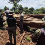 misiones-endurece-las-medidas-contra-los-infractores-ambientales:-perderan-permisos-y-beneficios