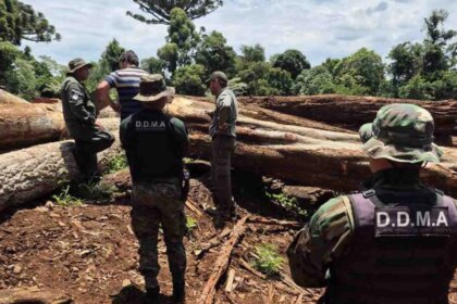 misiones-endurece-las-medidas-contra-los-infractores-ambientales:-perderan-permisos-y-beneficios