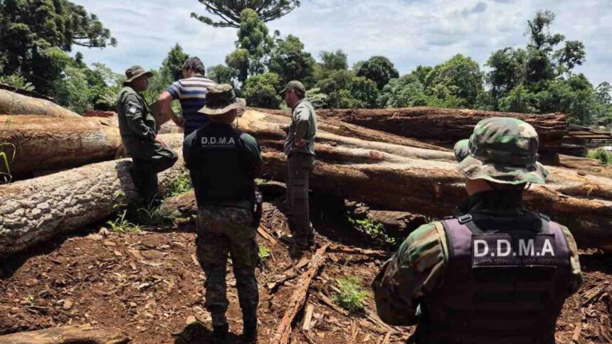 misiones-endurece-las-medidas-contra-los-infractores-ambientales:-perderan-permisos-y-beneficios