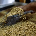 ¿se-viene-un-rebote-de-la-soja?-la-soja-resiste-la-presion-del-usda-y-mantiene-abierto-el-camino-hacia-nuevos-maximos