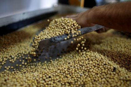 ¿se-viene-un-rebote-de-la-soja?-la-soja-resiste-la-presion-del-usda-y-mantiene-abierto-el-camino-hacia-nuevos-maximos