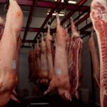 “vamos-a-estar-en-el-top-10-de-los-exportadores-del-mundo”:-los-despachos-de-cerdo-crecieron-un-156%-y-hay-una-oportunidad-imperdible