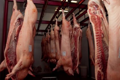 “vamos-a-estar-en-el-top-10-de-los-exportadores-del-mundo”:-los-despachos-de-cerdo-crecieron-un-156%-y-hay-una-oportunidad-imperdible