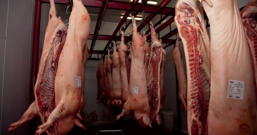 “vamos-a-estar-en-el-top-10-de-los-exportadores-del-mundo”:-los-despachos-de-cerdo-crecieron-un-156%-y-hay-una-oportunidad-imperdible