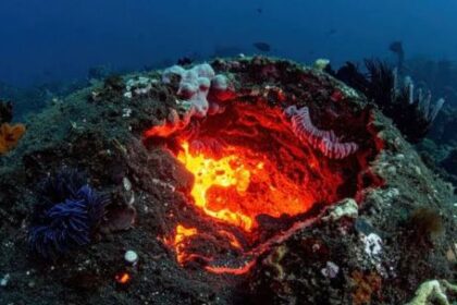 hallan-bajo-el-mar-la-caldera-volcanica-mas-grande-del-mundo