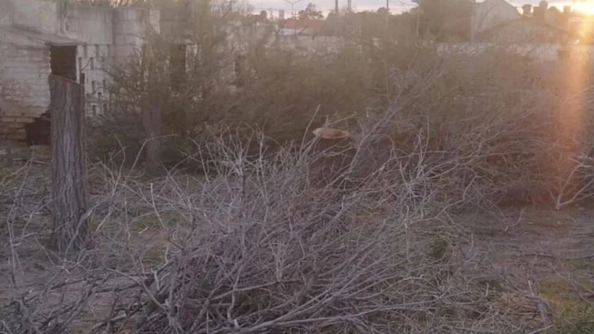 confirman-una-multa-de-$180-millones-por-la-tala-ilegal-de-arboles-en-un-predio-de-las-grutas