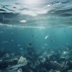 hallaron-basura-humana-a-casi-4.000-metros-de-profundidad-en-el-mar-argentino