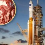 la-nasa-busca-4-voluntarios-para-simular-un-viaje-de-un-ano-a-la-luna-y-marte