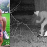 se-mostro-como-un-influencer-amigo-de-los-animales-y-fue-grabado-golpeando-salvajemente-a-sus-perros