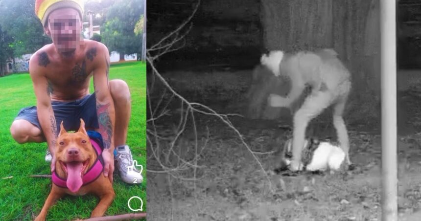 se-mostro-como-un-influencer-amigo-de-los-animales-y-fue-grabado-golpeando-salvajemente-a-sus-perros