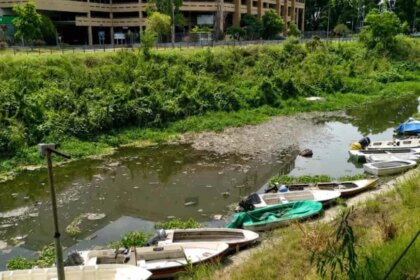 denuncian-contaminacion-del-arroyo-luduena-en-rosario-por-el-presunto-vuelco-sistematico-de-residuos-peligrosos