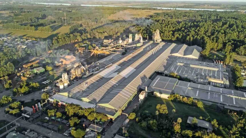 entre-rios:-denuncian-contaminacion-por-humo-y-aserrin-de-una-planta-maderera