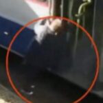 una-mujer-de-74-anos-intento-bajar-de-un-colectivo-y-termino-internada.