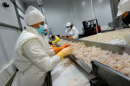 nueva-operacion-en-la-pesca-fortalece-la-produccion,-la-logistica-y-el-empleo-en-chubut