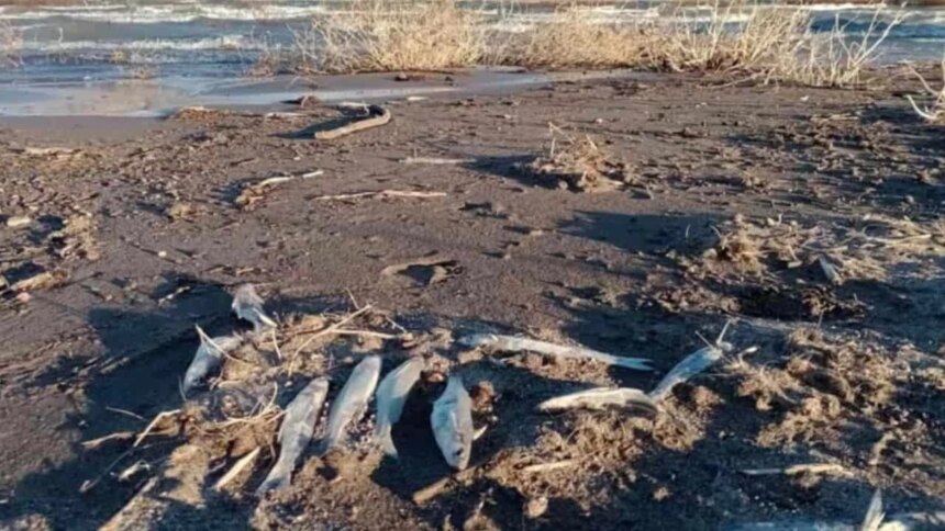 barrick-gold-y-shandong-gold,-bajo-la-lupa:-un-informe-detecto-grave-contaminacion-con-metales-en-san-juan