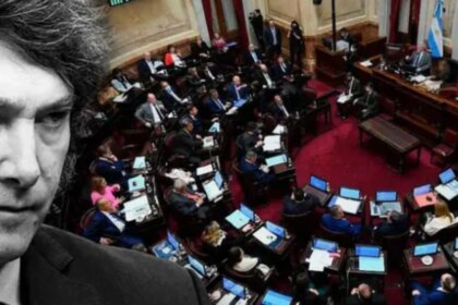 venta-de-tierras-a-extranjeros:-el-gobierno-acordo-cambios-en-el-senado-y-busca-aprobar-el-proyecto-de-milei