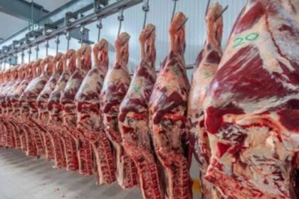 ¿quien-controla-ahora-la-carne-que-comemos?:-el-cambio-clave-que-beneficia-desde-swift-a-coto