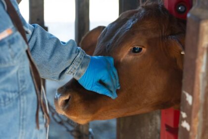 el-cambio-climatico-expande-una-amenaza-silenciosa-para-la-carne-que-se-consume