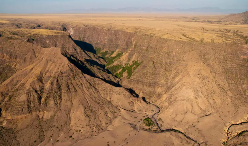 el-fin-de-africa-tal-como-lo-conocemos:-los-cientificos-predicen-la-division-del-continente-y-un-nuevo-oceano