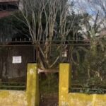 horror-en-la-plata:-quiso-usurpar-una-casa-y-encontro-el-cuerpo-de-un-jubilado-en-estado-de-revision