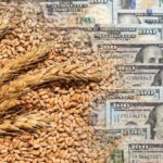 derechos-de-exportacion:-funciono-la-reduccion?