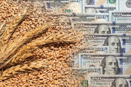 derechos-de-exportacion:-funciono-la-reduccion?