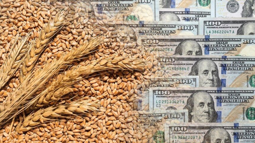 derechos-de-exportacion:-funciono-la-reduccion?