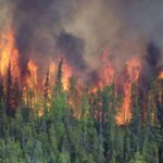 alerta-climatica:-casi-la-mitad-de-las-metas-ambientales-de-argentina-se-estancaron-o-retrocedieron-durante-el-gobierno-de-milei