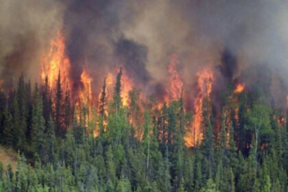 alerta-climatica:-casi-la-mitad-de-las-metas-ambientales-de-argentina-se-estancaron-o-retrocedieron-durante-el-gobierno-de-milei
