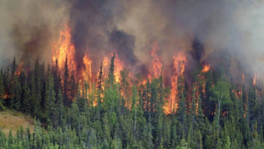 alerta-climatica:-casi-la-mitad-de-las-metas-ambientales-de-argentina-se-estancaron-o-retrocedieron-durante-el-gobierno-de-milei