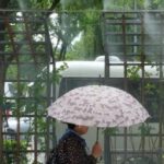 canicule:-la-coree-du-sud-declenche-sa-estreno-alerte-maximale-pour-chaleur-extreme