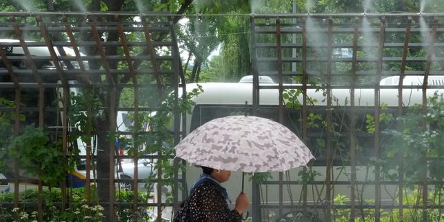 canicule:-la-coree-du-sud-declenche-sa-estreno-alerte-maximale-pour-chaleur-extreme