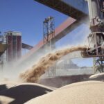el-precio-de-la-soja-toco-maximos-desde-mayo-y-rozo-los-u$s440