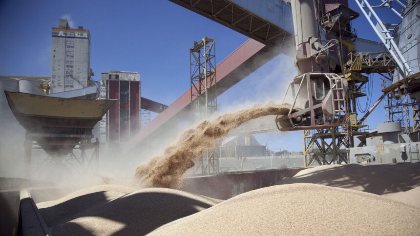 el-precio-de-la-soja-toco-maximos-desde-mayo-y-rozo-los-u$s440