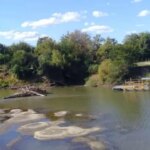 un-estudio-del-conicet-alerto-que-las-lluvias-arrastran-contaminantes-hasta-el-arroyo-las-conchas