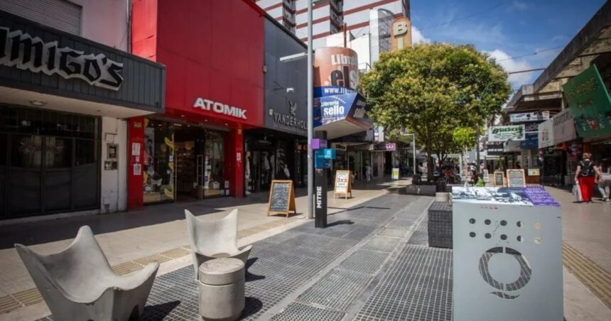 el-gobierno-avalo-la-continuidad-de-los-aportes-sindicales-y-el-convenio-de-comercio-mientras-rija-una-cautelar