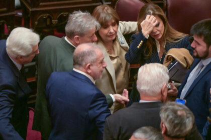el-gobierno-busca-en-el-senado-la-aprobacion-de-una-reforma-polemica-que-provoca-tensiones-con-los-aliados