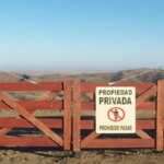 de-que-se-trata-la-ley-de-tierras-que-se-debate-en-el-senado-y-quienes-podran-comprar-campos
