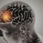 ¿se-pueden-recuperar-los-recuerdos-de-una-persona-muerta?-la-ciencia-explora-una-posibilidad-que-parecia-imposible
