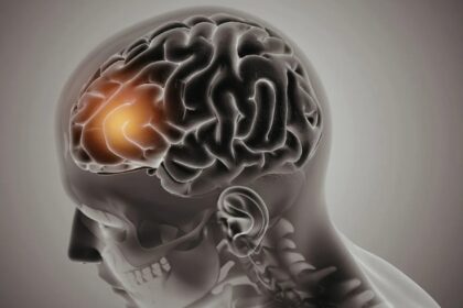 ¿se-pueden-recuperar-los-recuerdos-de-una-persona-muerta?-la-ciencia-explora-una-posibilidad-que-parecia-imposible