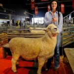 la-historia-detras-del-carnero-tim-payne:-generaciones-apasionadas-por-la-cria-de-ovinos-y-una-vida-participando-de-la-exposicion-rural