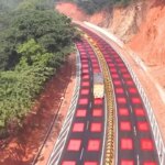 india-aplicara-la-psicologia-del-color-en-las-carreteras-para-evitar-el-atropello-de-animales-silvestres