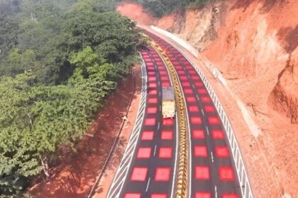 india-aplicara-la-psicologia-del-color-en-las-carreteras-para-evitar-el-atropello-de-animales-silvestres