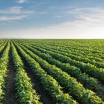 empresa-quimica-basf-lanzara-nueva-soja-transgenica-en-argentina-y-crece-la-polemica-por-uso-de-herbicidas-toxicos