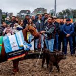un-animal-que-se-habia-vendido-el-50%-en-136-millones-de-pesos-se-consagro-gran-campeon-hembra-de-la-raza-brangus