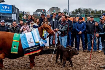 un-animal-que-se-habia-vendido-el-50%-en-136-millones-de-pesos-se-consagro-gran-campeon-hembra-de-la-raza-brangus
