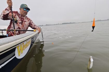 pesca-de-pejerrey:-10-fallas-que-cometen-muchos-pescadores-y-que-alejan-las-capturas