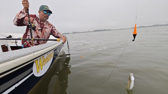 pesca-de-pejerrey:-10-fallas-que-cometen-muchos-pescadores-y-que-alejan-las-capturas